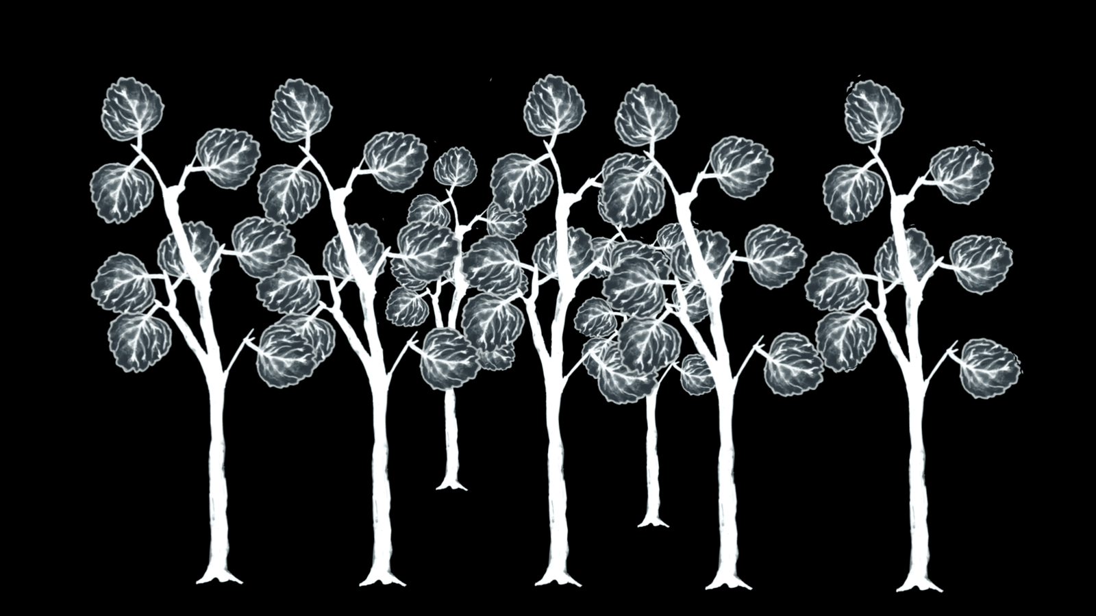 Proyecto de animación 2D experimental de Carles Pedrón
