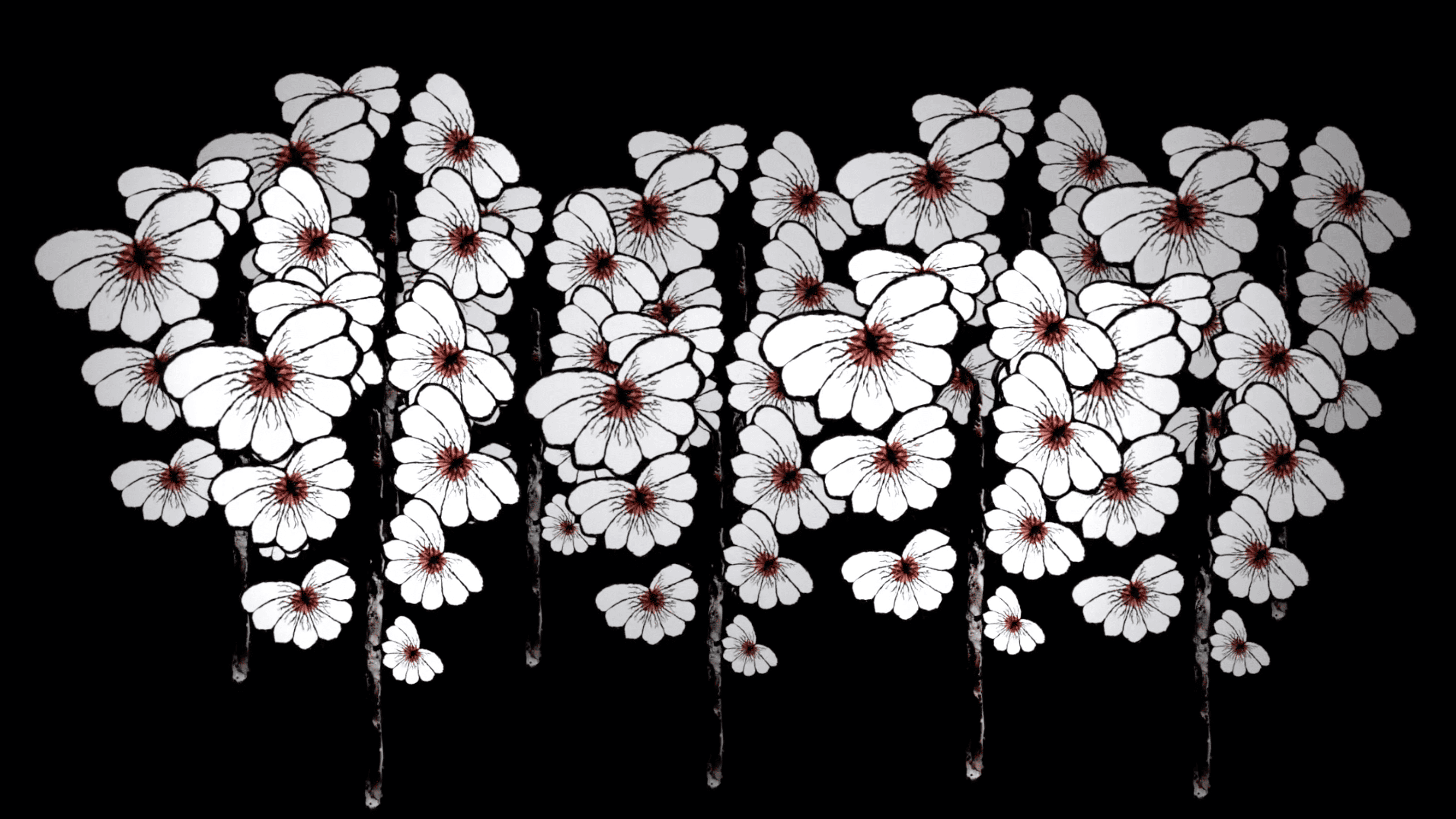 Animación experimental