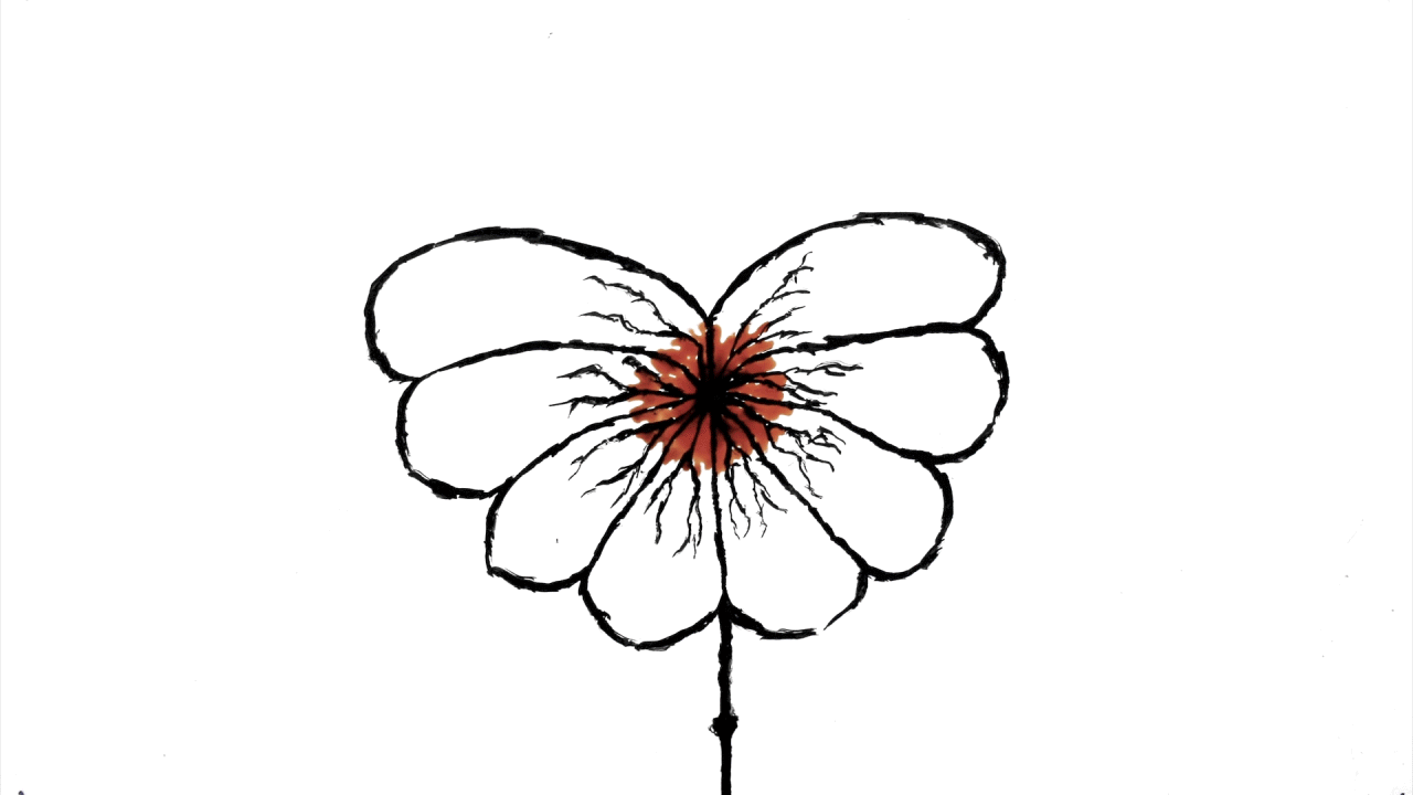 Animación experimental